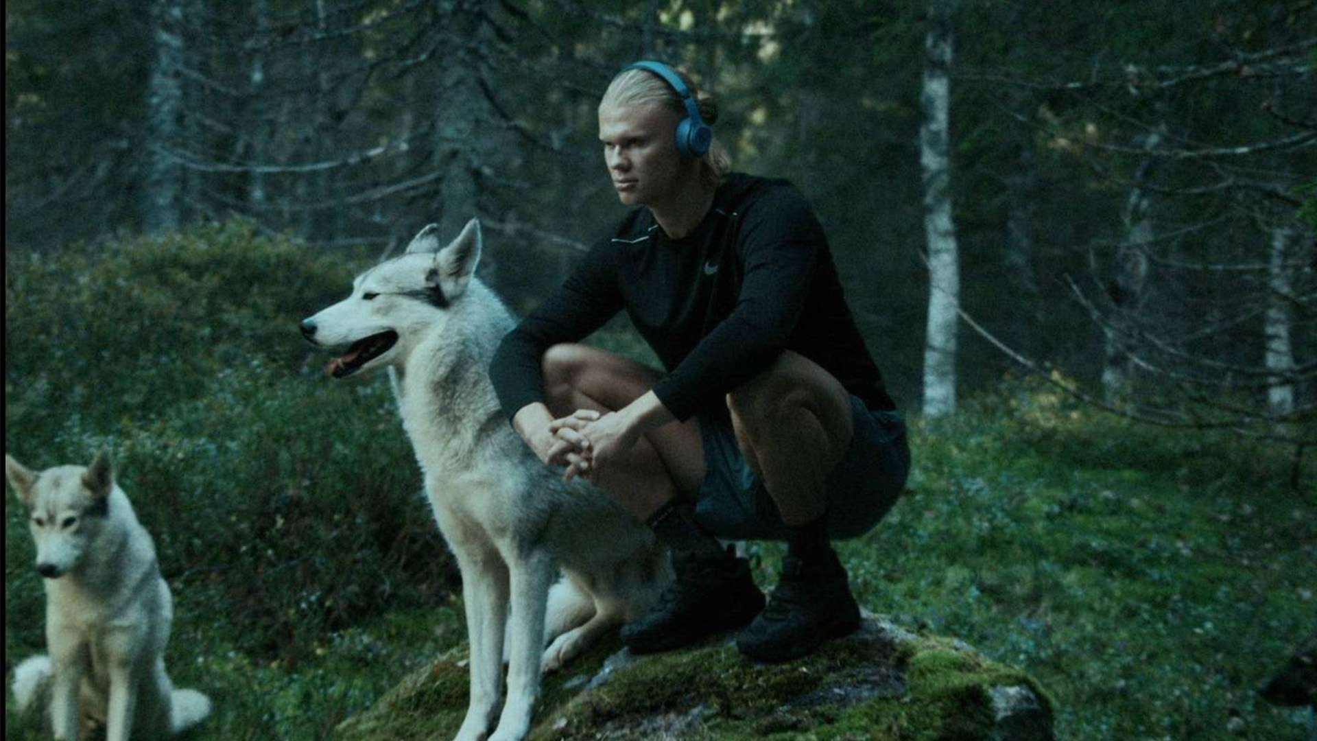 或者一对一 或者一对一