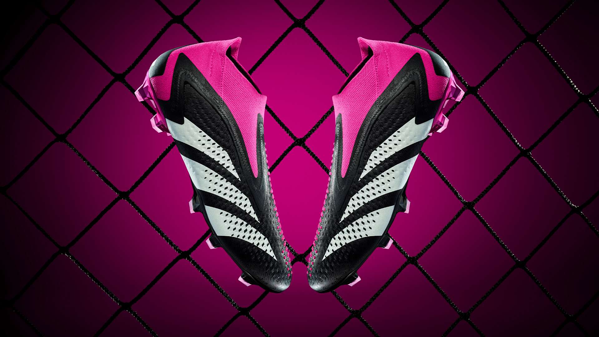 星马内在感 星马内在感